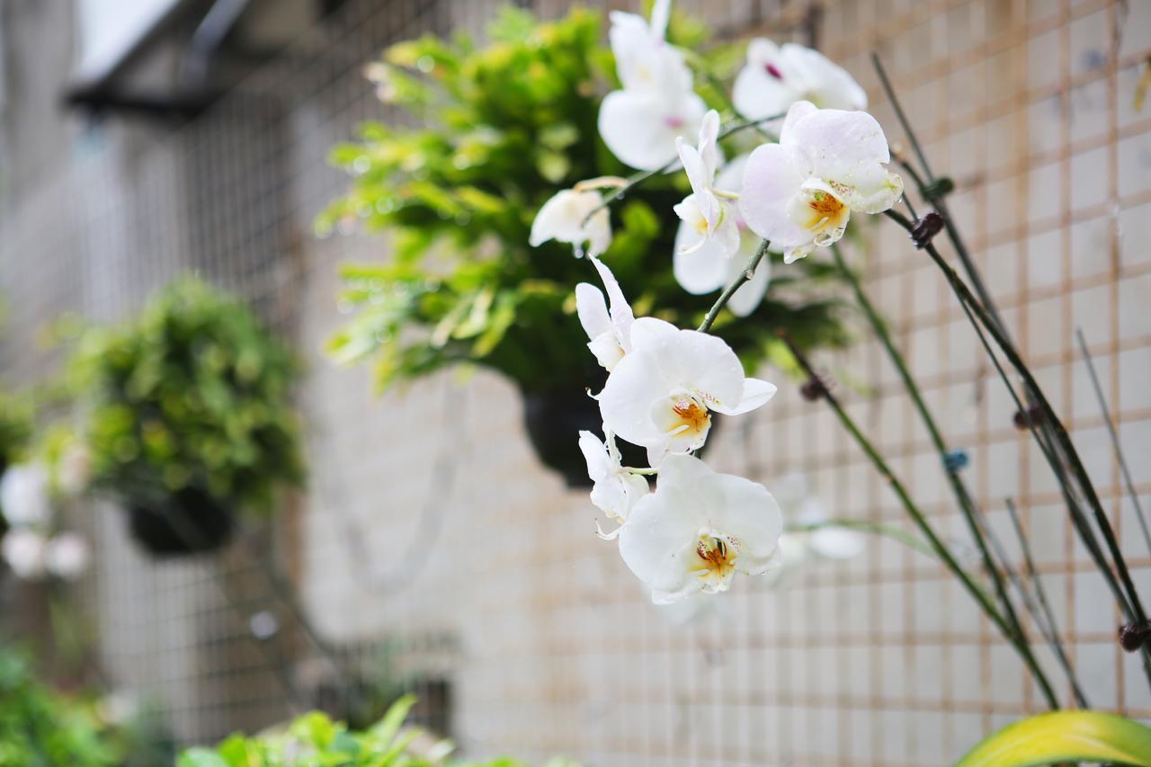 Chiayi Crown Hotel Luaran gambar